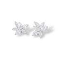 Starlight Studs